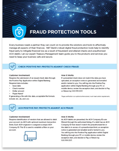 Fraud Prevention Tools PDF